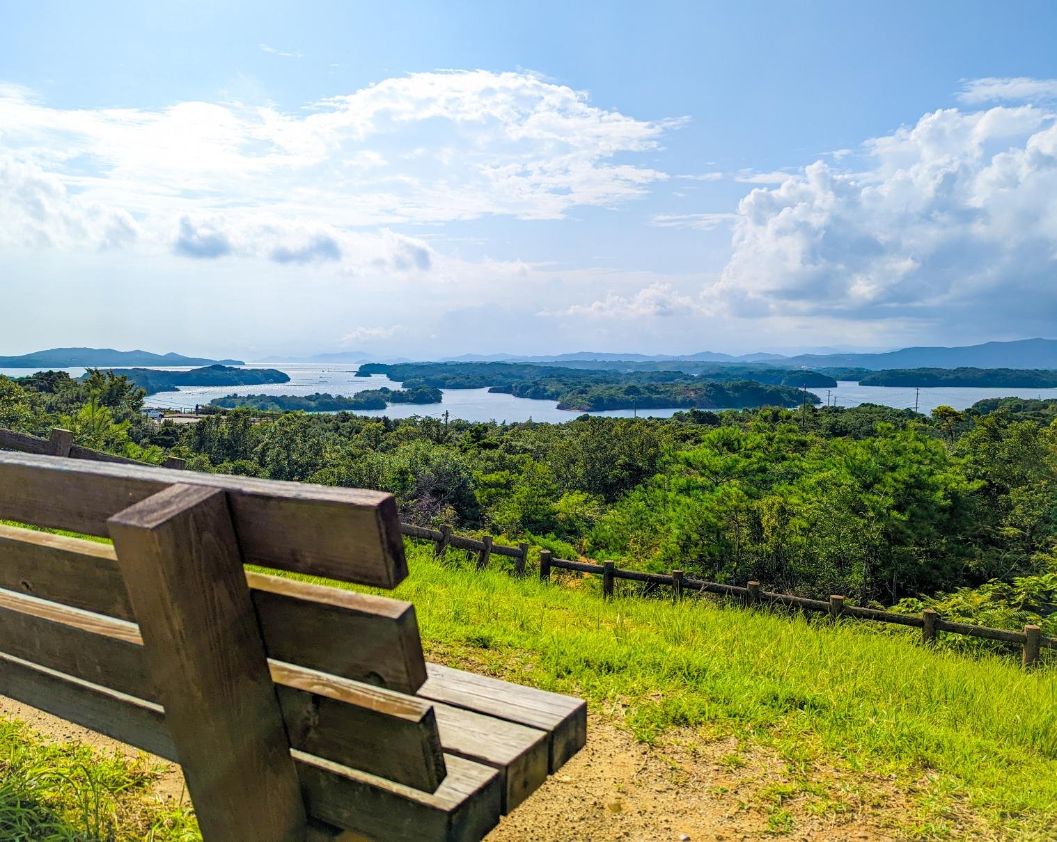🏞️ 다마테야마 시립 공원(가시와라 시리츠 다마테야마 코엔) 이미지 6